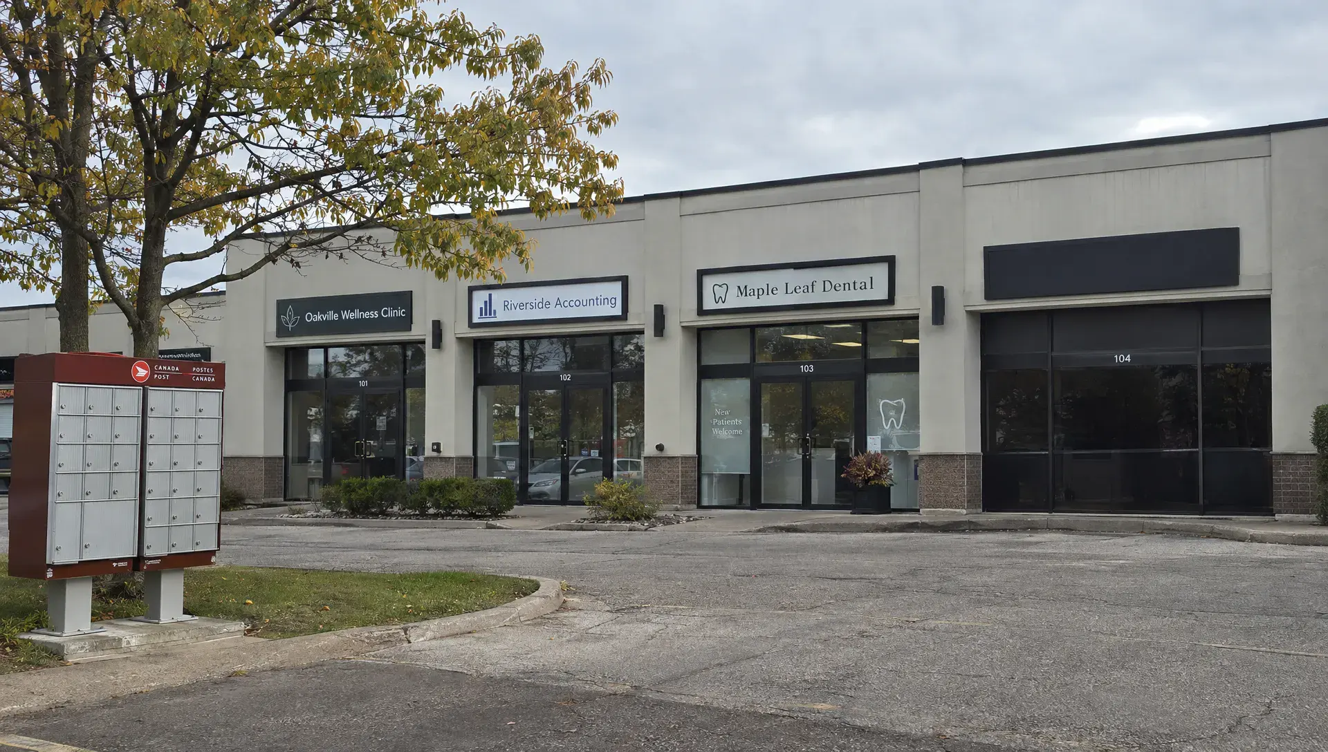 A quiet Oakville commercial building with an unused business suite captures the setting of a dormant corporation.